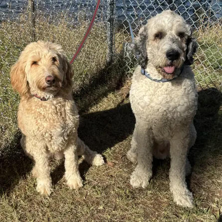Luci & Trixie